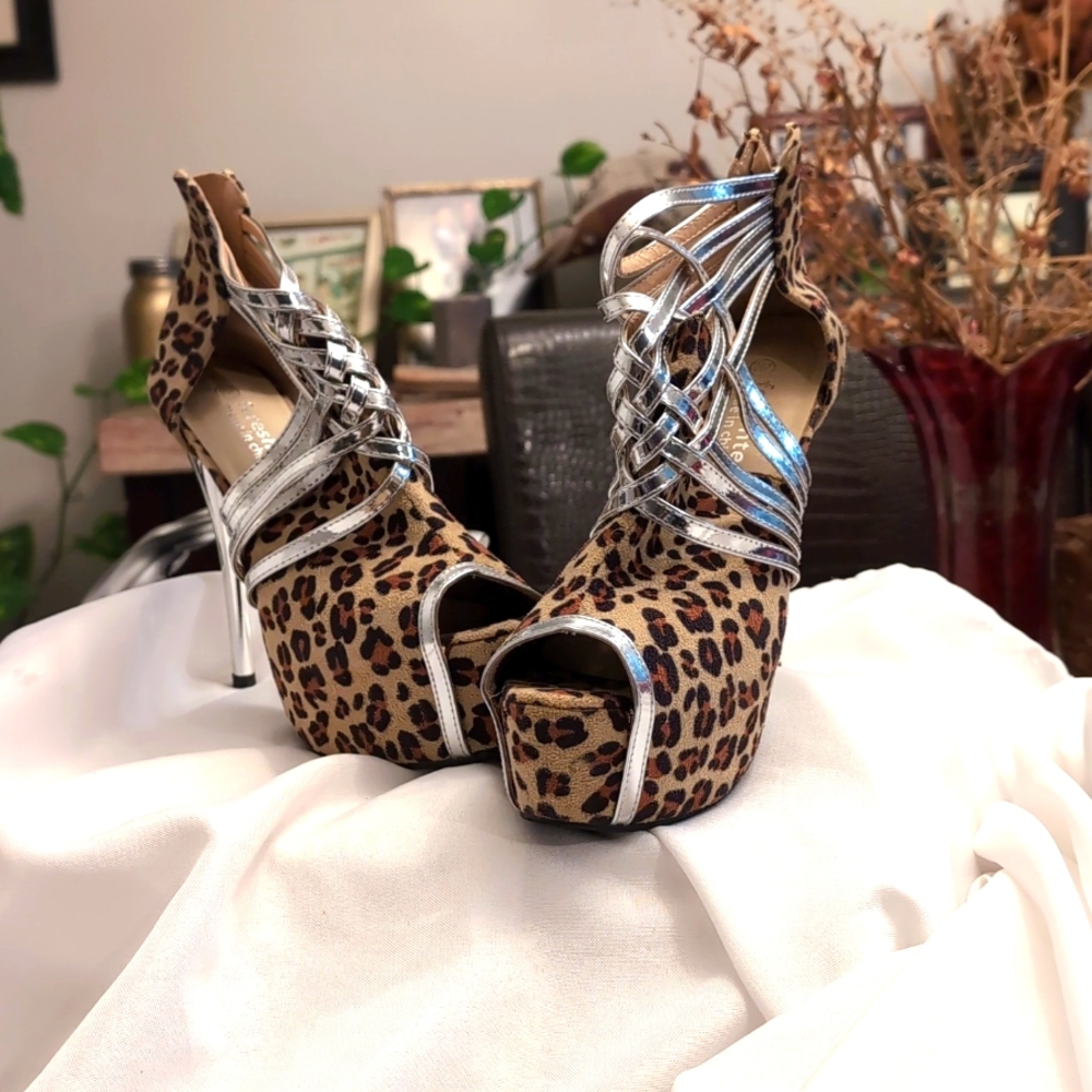 Super stunning silver and cheetah